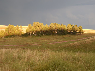 Wind Cave National Park