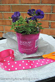 Dress Up a Plain Potted Plant for Your Child's Teacher! from Serenity Now