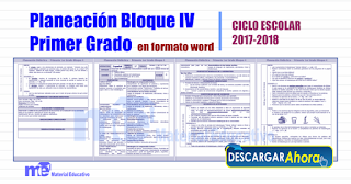 Planeación Bloque IV Primer Grado primaria