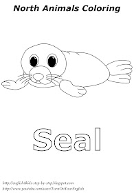 seal arctic animals coloring