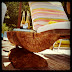 Log Days Of Summer