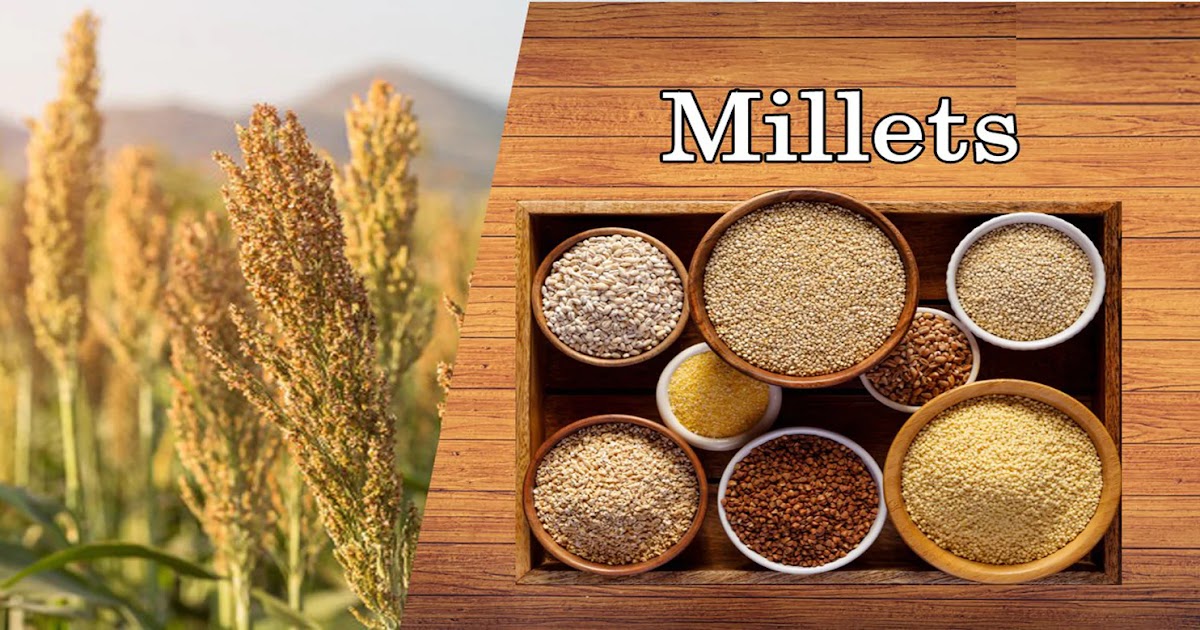 What Is Millet Types Of Millets And Their Health Benefits