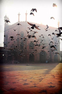 picsart background images download, instagram viral background