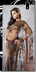 indian saari. pakistani saari. bangladeshi saari. pakistani fashion.. indian fashion. latest dresses (61)