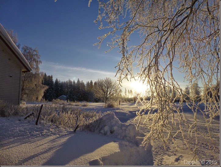 januar-15 063
