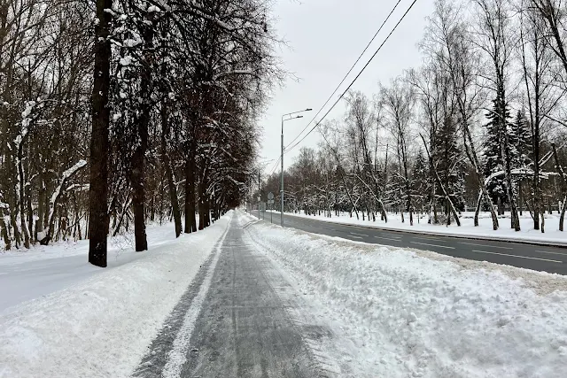 Университетский проспект