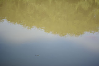 笠間芸術の森公園水辺の広場