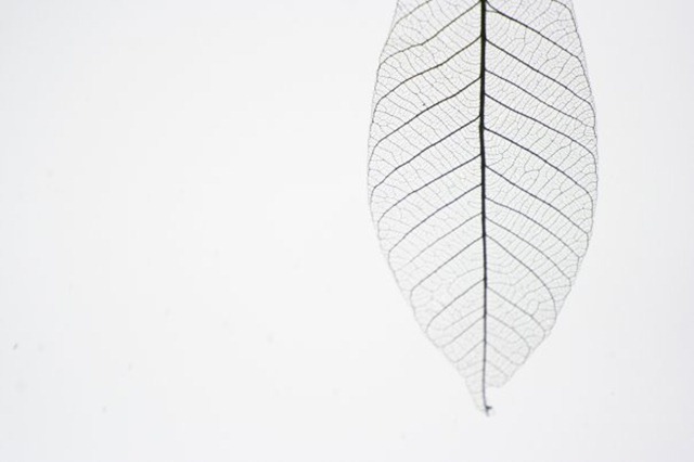 tumblr_lrbqtumXUl1r0zsqao1_1280[1]