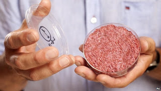 stem cell burger