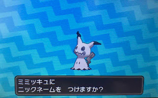初の固定リセで色違いサンダーゲット 色違いの見分け方 ふみの色違いポケモンブログ