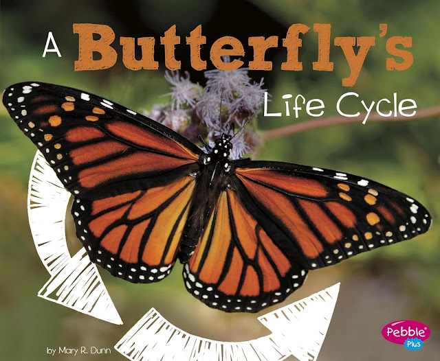 A Butterfly's Life Cycle, Book