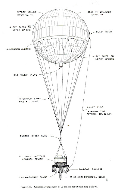 Hot Air Balloon Net1