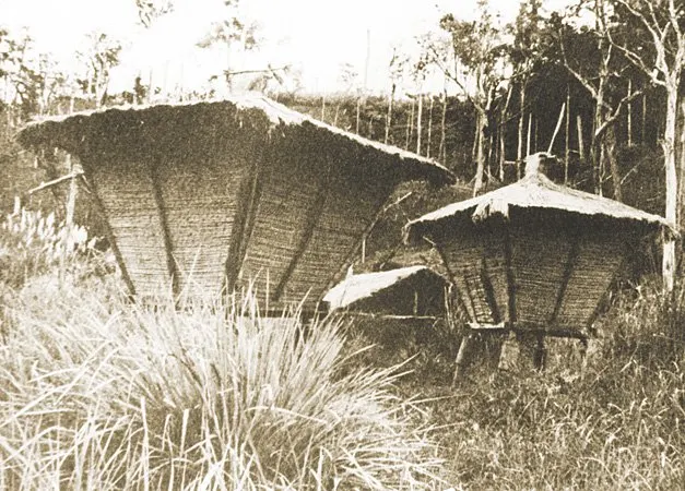 Rice granaries