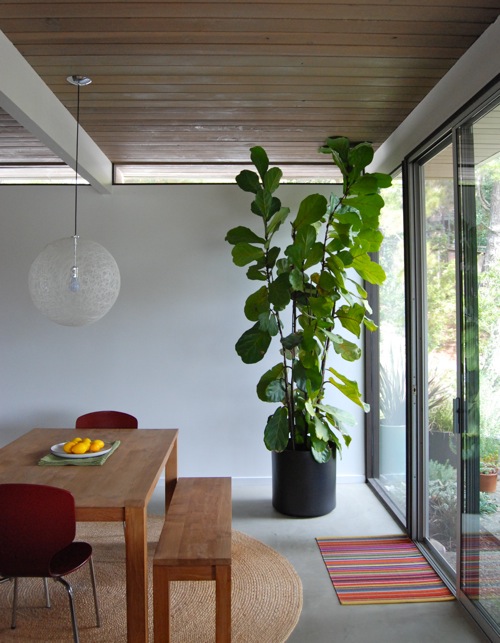 Condo Design: Interior Styling | Indoor Plants