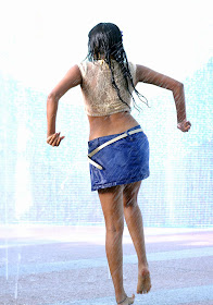 Priyamani Hot and Sexy Wet Photos, Wet Saree