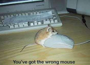 funny mouse, mouse on top of another mouse, mouse sexy, mouse and technology