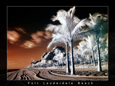 Amazing Infrared Picture Seen On www.coolpicturegallery.net