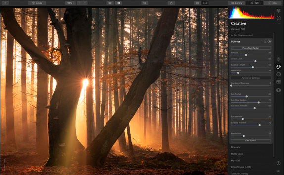 Luminar 4 reviews 2021