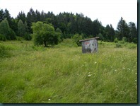 DSCN6816