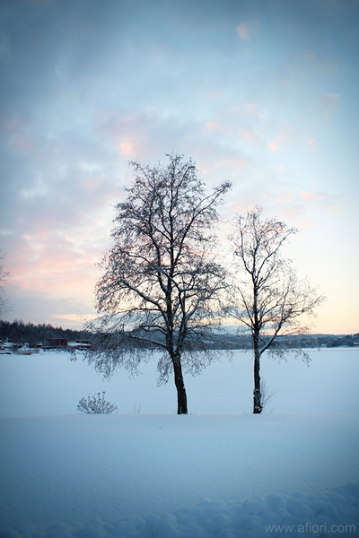 Härnösand, foto: Maria-Thérèse Sommar