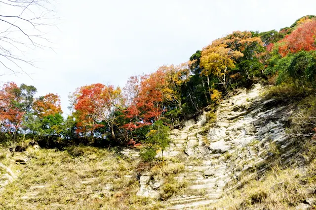 養老渓谷（千葉）の紅葉と地層