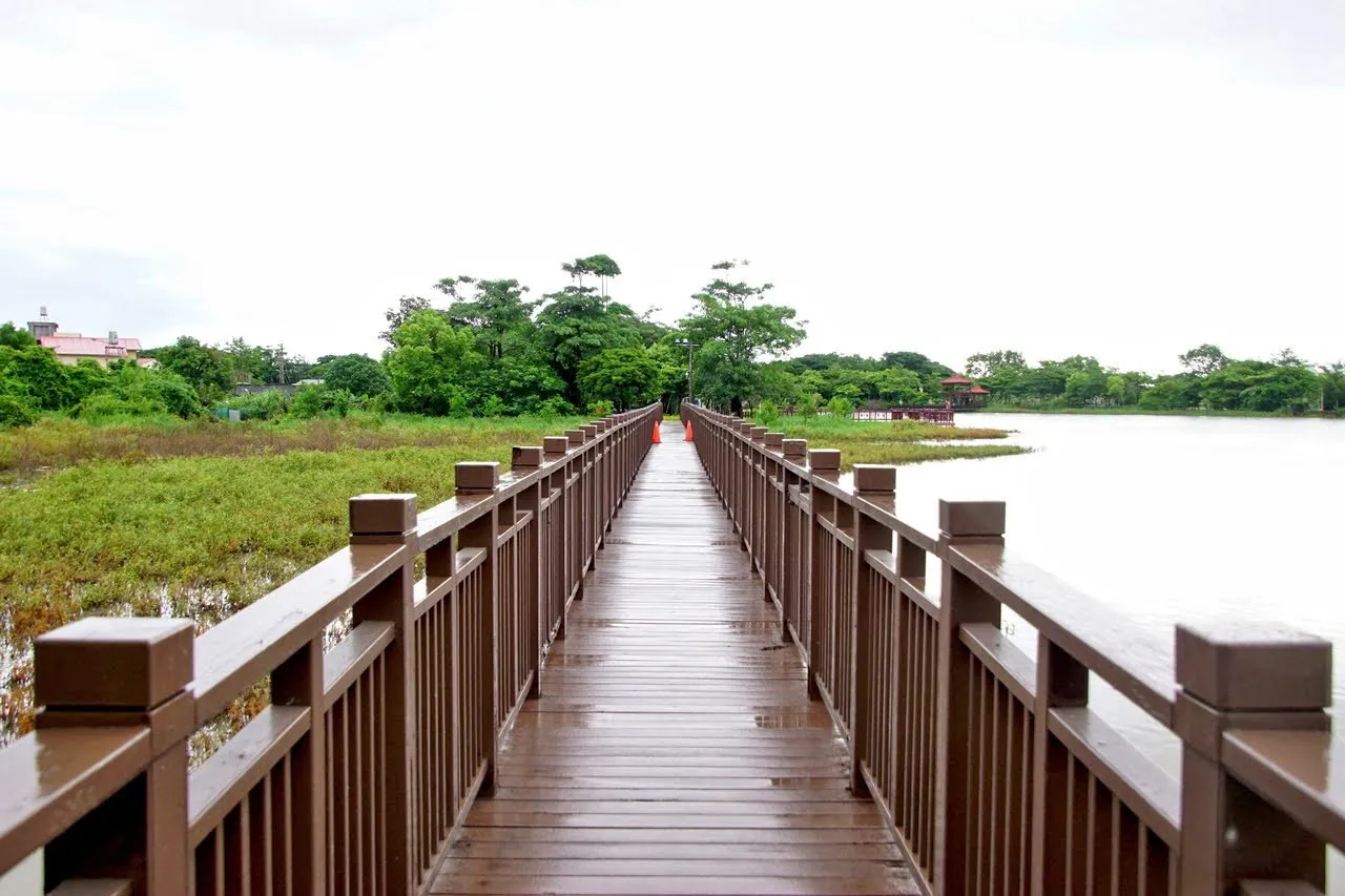 [台南][新營區] 天鵝湖公園｜埤寮埤｜新營唯一天然湖泊｜嘉南埤川國家級濕地｜遊記