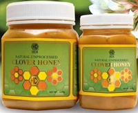 CLOVER HONEY 