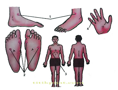Titik Pijat Penyakit Hepatitis  Titik Pijat