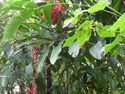 P1000806