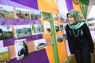 Way Kambas Forest Photography Festival, Berwisata Sambil Jepret Gajah