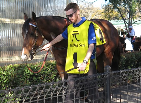 race 7_contributer 2