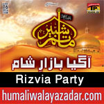 http://www.humaliwalayazadar.com/2014/10/rizvia-party-nohay-1993-to-2015.html