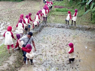 Tempat Wisata Agro Di Sentul Bogor Agro Edukasi Outbound Tempat Wisata Agro Di Sentul Bogor Agro Edukasi Outbound