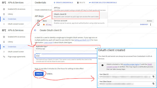Get client_id client_secret issued from Google Cloud Platform