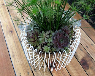 Ikea fruit bowl for succulents