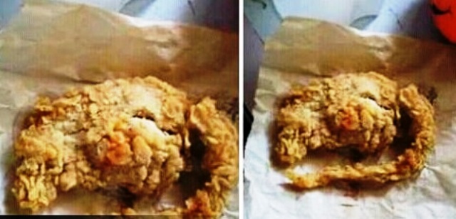 http://www.liataja.com/2015/06/pesan-ayam-goreng-kfc-dapatnya-tikus.html