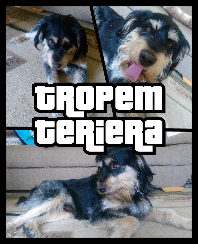 Witam na blogu!