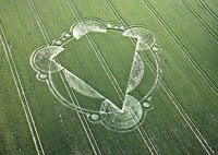 Crop Circle