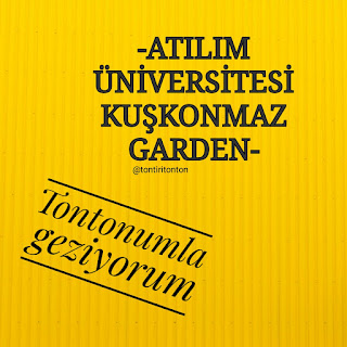 Resim