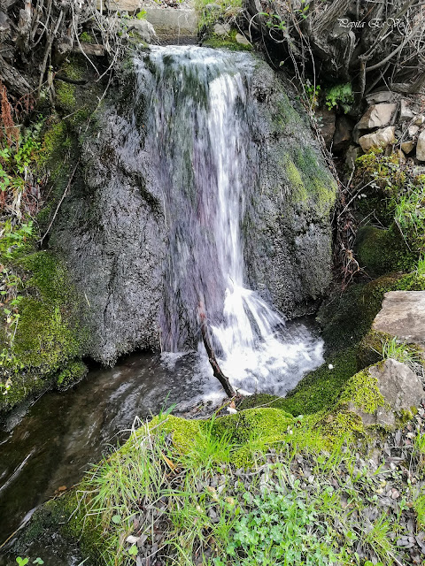 Partior, Acequia Alcázar, Jérez del Marquesado