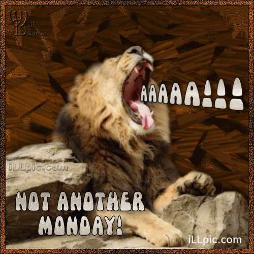 monday