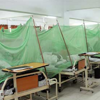 Seven more dengue fever cases reported