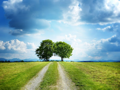 image: https://pixabay.com/photos/path-dirt-road-trees-heaven-clouds-5202207/