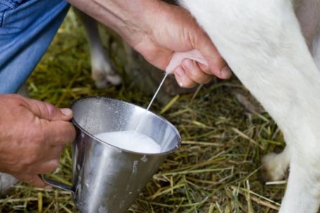 minuman untuk jantung