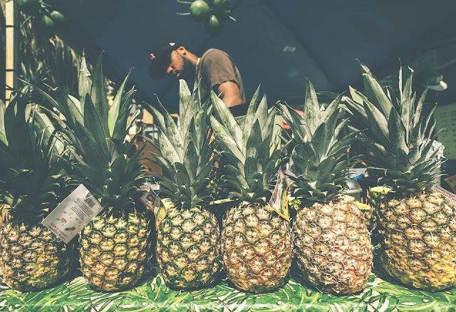 How to Start Pineapple Farming Business In Nigeria