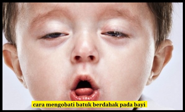 Cara Mengobati Batuk Berdahak Pada Bayi Yang Ampuh | DAUN ...