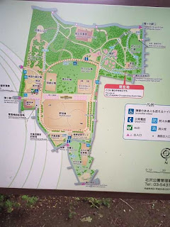 羽根木公園