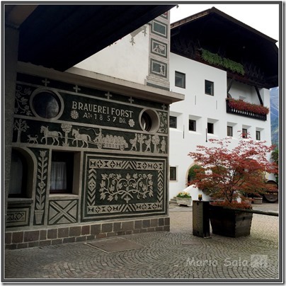 LR_FORST_C02