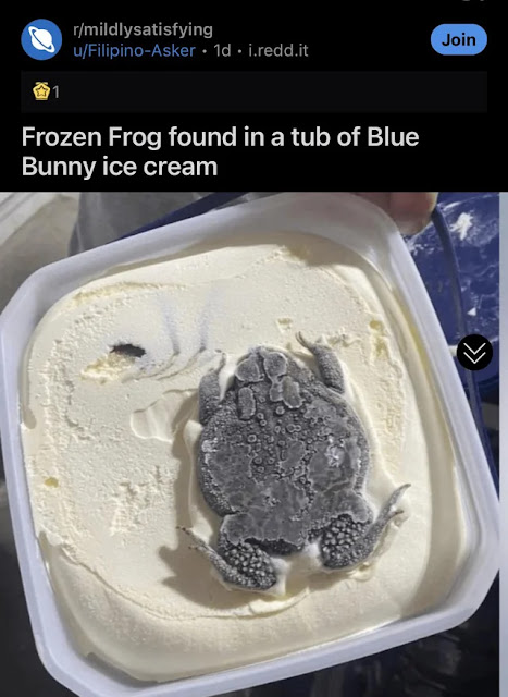 Frog found frozen in ice cream