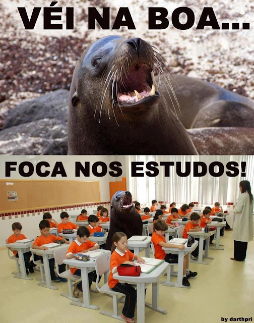 Focando nos estudos